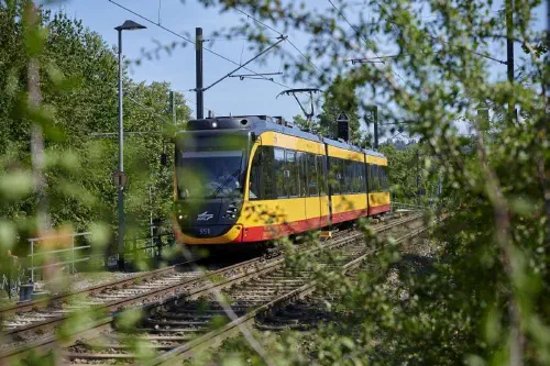 Autofreier Tag