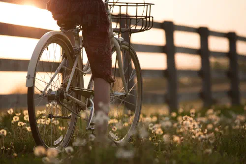 Stadtradeln 2025 - Bürgerinitiative beteiligt sich wieder